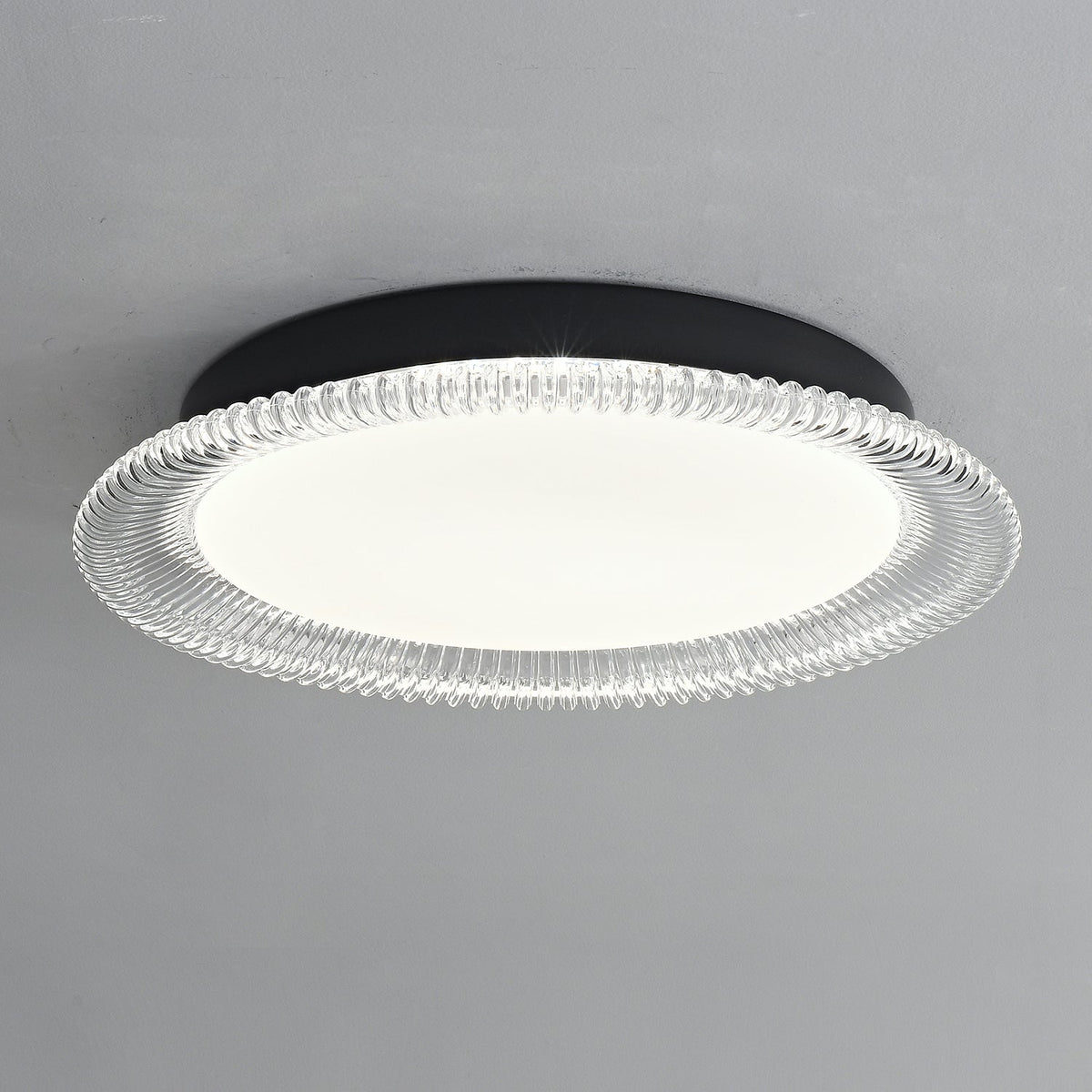 Vanguard LED Flush Mount Ceiling Light in Black and Acrylic