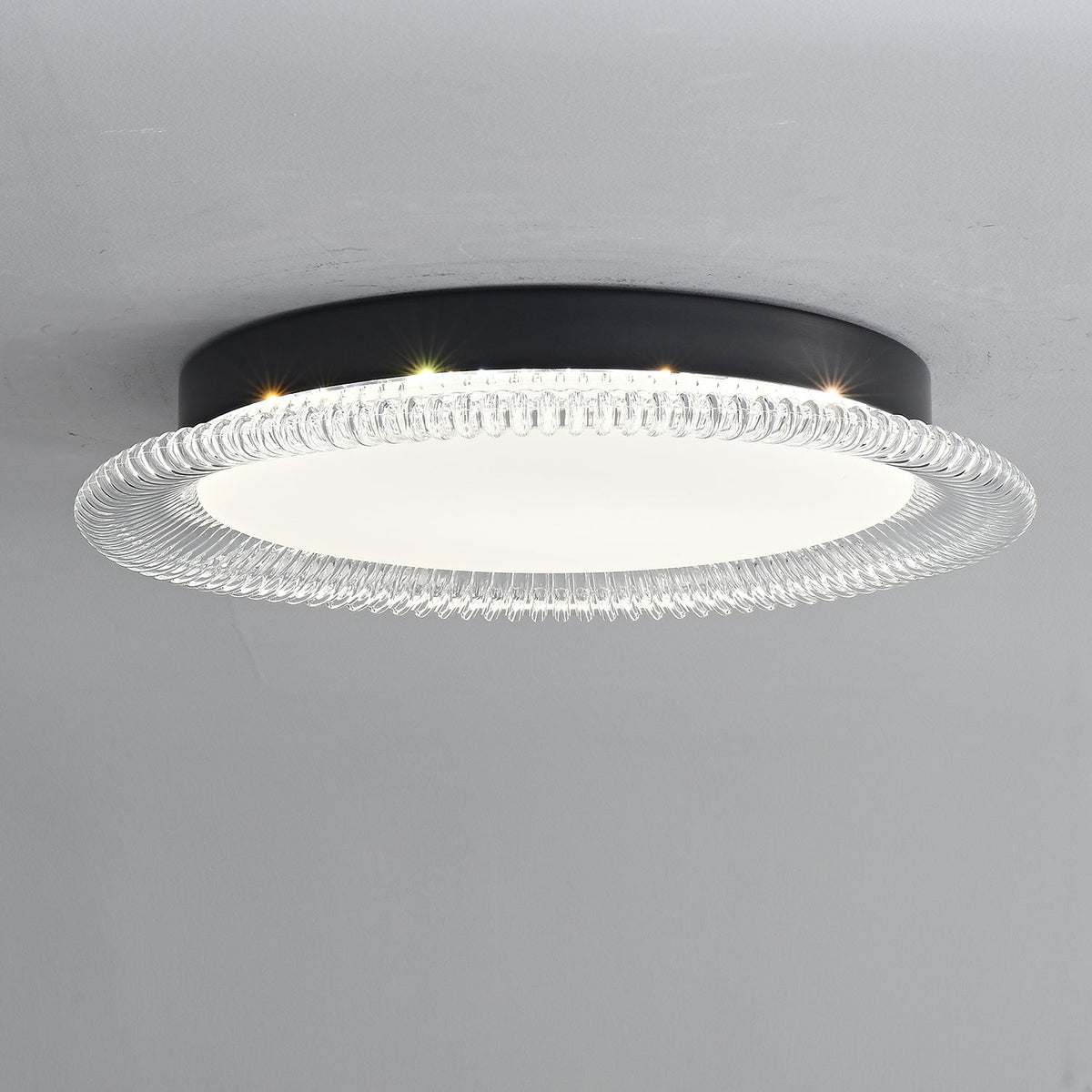 Vanguard LED Flush Mount Ceiling Light in Black and Acrylic