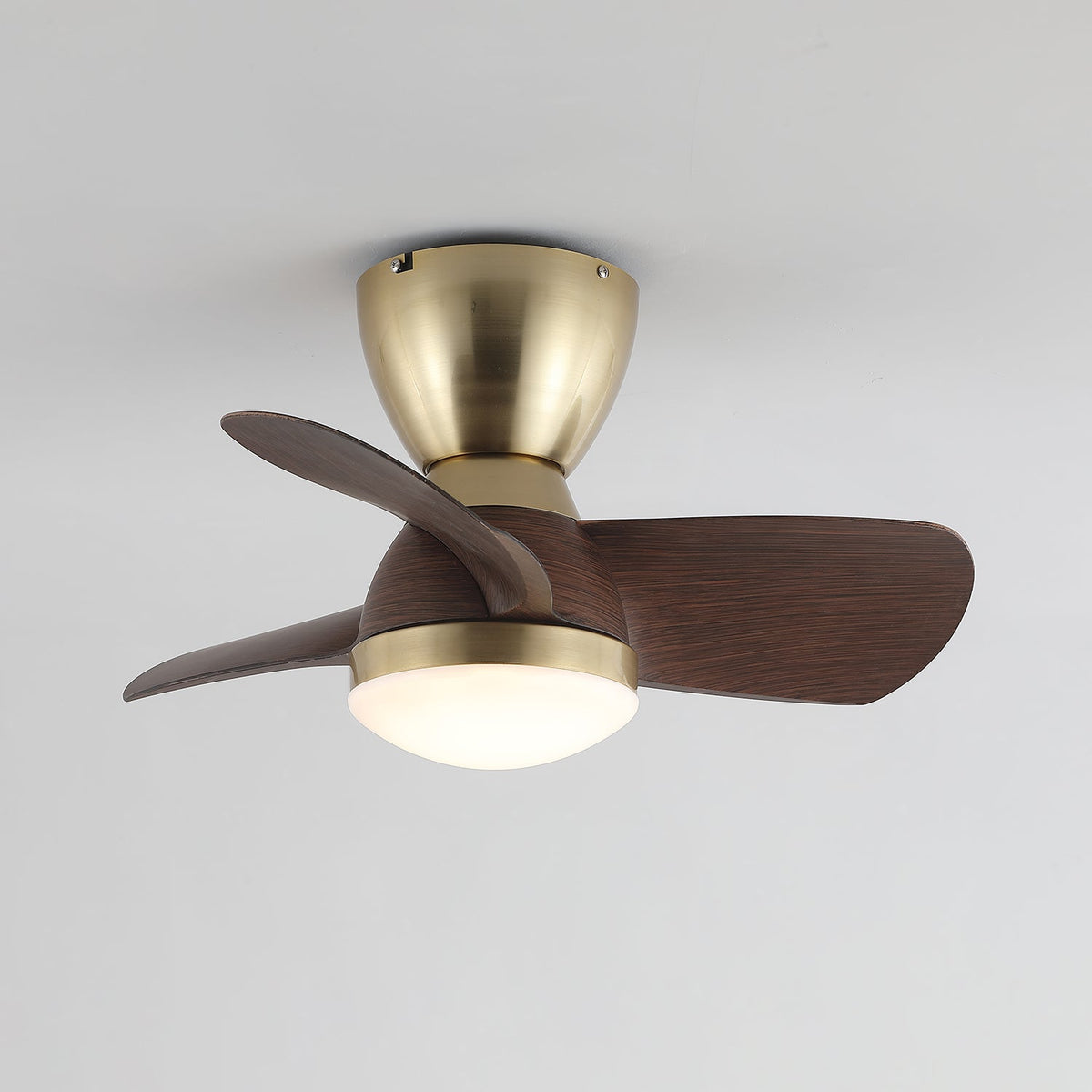 Velis Ceiling Fan Light with LED and Remote Control
