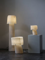Vellum Sculptural Table Lamp with Warm Diffused Glow