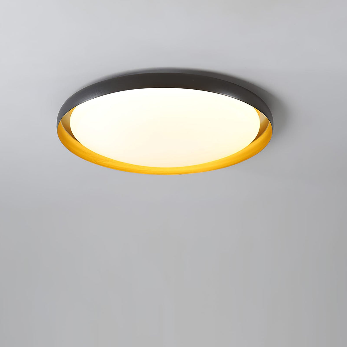 Vieno Ceiling Light