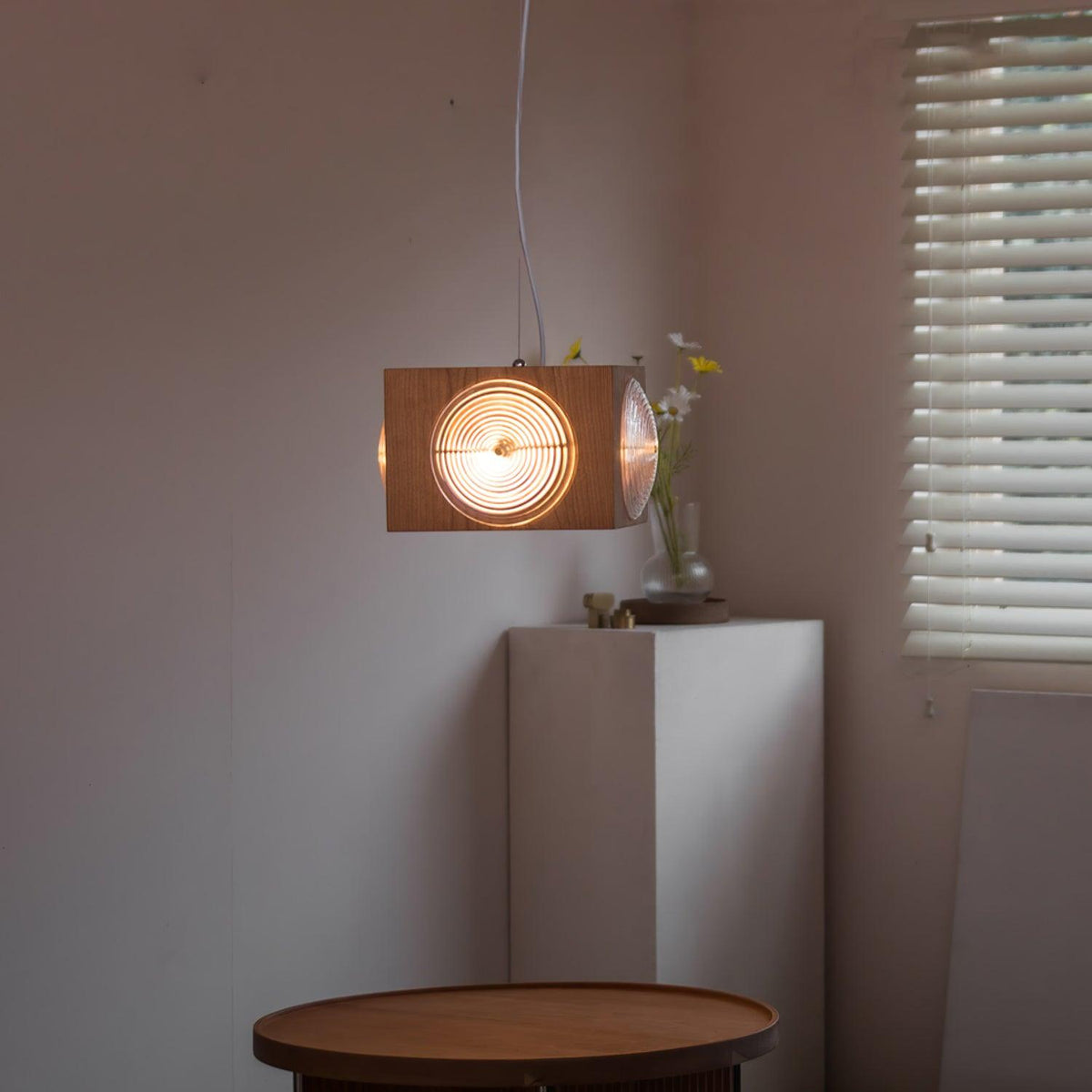 Vintage Camera Pendant Light in Cherry Wood with Glass Lens