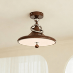 Whirl Ceiling Lamp – Modern Walnut & Chrome Flush Mount Light