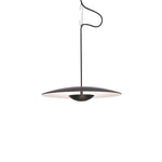 Wilbur Ginger Pendant Light