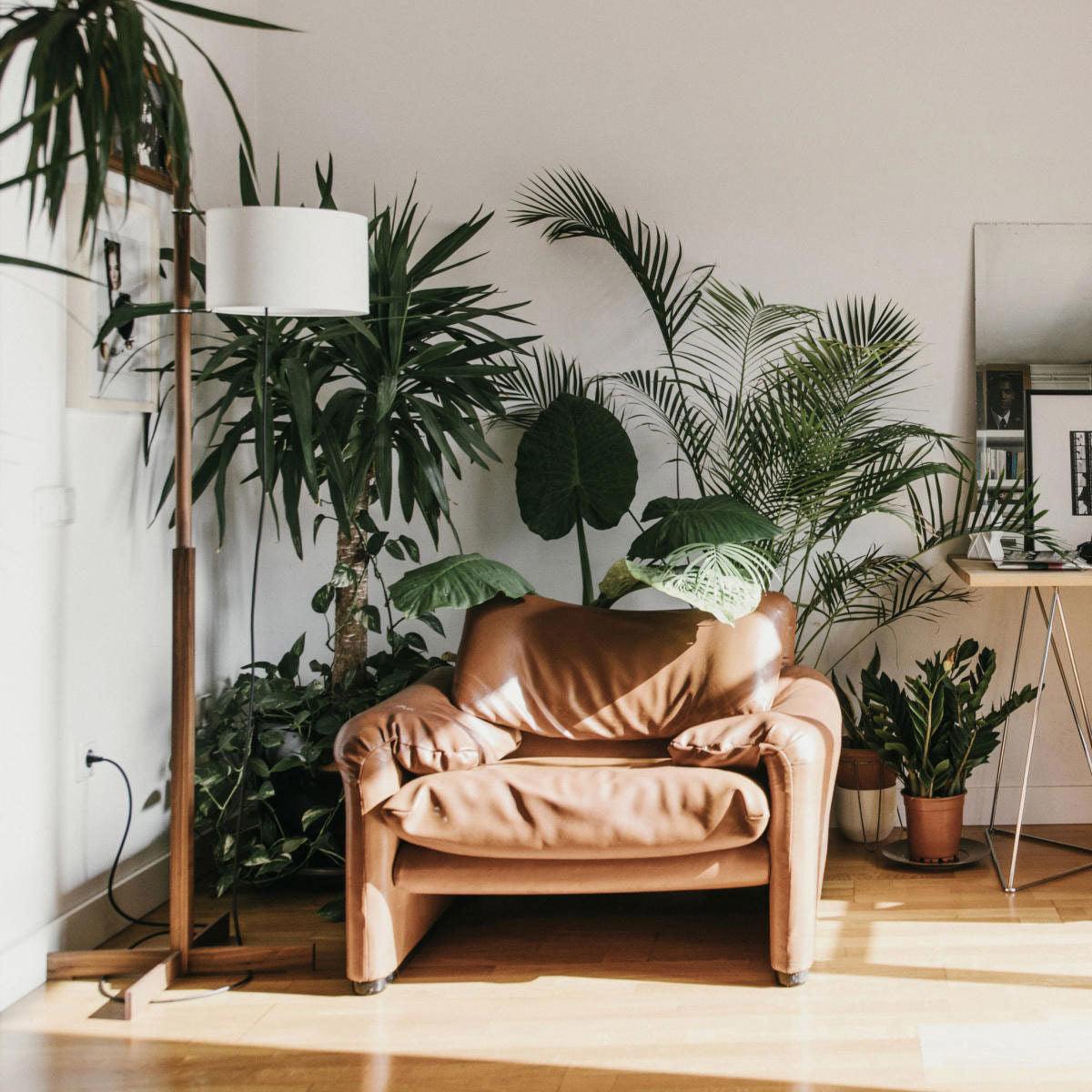 wood-tmm-floor-lamp