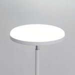 Aria Uplight Floor Lamp with Dual Ambient and Reading Light Modes