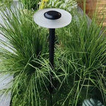 Minimalist Outdoor Bollard Light with Weatherproof LED Landscape Illumination