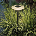Minimalist Outdoor Bollard Light with Weatherproof LED Landscape Illumination