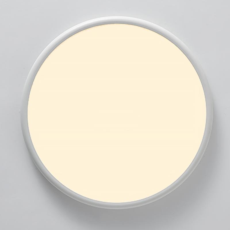 Lighting Ceiling Lights Flush Mount Lighting_Tli00236