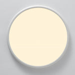 Lighting Ceiling Lights Flush Mount Lighting_Tli00236