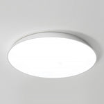 Lighting Ceiling Lights Flush Mount Lighting_Tli00281