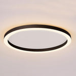 Lighting Ceiling Lights Flush Mount Lighting_Tli00190