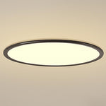 Lighting Ceiling Lights Flush Mount Lighting_Tli00213