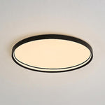 Lighting Ceiling Lights Flush Mount Lighting_Tli00250