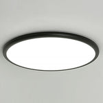 Lighting Ceiling Lights Flush Mount Lighting_Tli00236