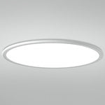 Lighting Ceiling Lights Flush Mount Lighting_Tli00222