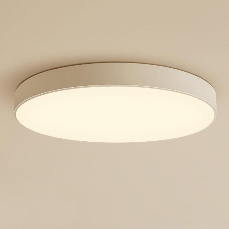 Lighting Ceiling Lights Flush Mount Lighting_Tli00157