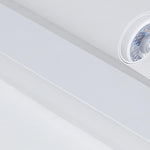 Lighting Ceiling Lights Flush Mount Lighting_Tli00206
