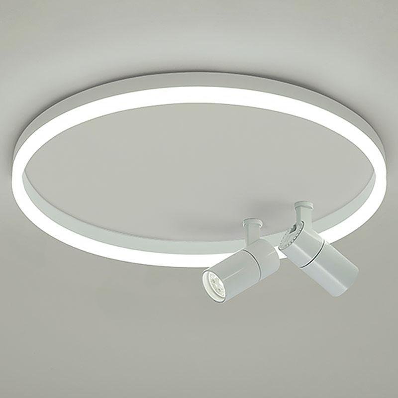 Lighting Ceiling Lights Flush Mount Lighting_Tli00249