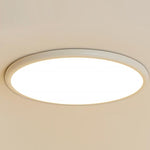 Lighting Ceiling Lights Flush Mount Lighting_Tli00236