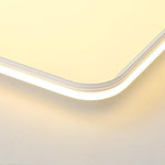 Lighting Ceiling Lights Flush Mount Lighting_Tli00226
