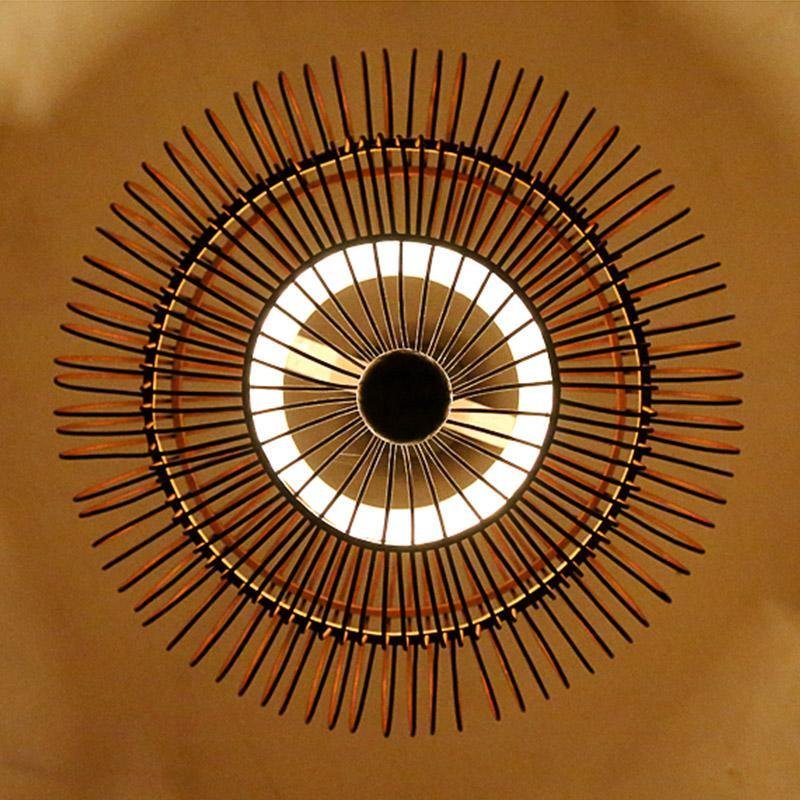 Tli00641