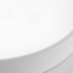 Lighting Ceiling Lights Flush Mount Lighting_Tli00157