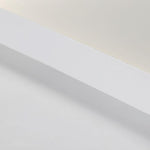 Lighting Ceiling Lights Flush Mount Lighting_Tli00241