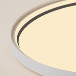 Lighting Ceiling Lights Flush Mount Lighting_Tli00250