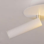 Lighting Ceiling Lights Flush Mount Lighting_Tli00156