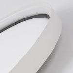 Lighting Ceiling Lights Flush Mount Lighting_Tli00250