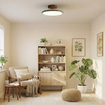 zayn-ceiling-lamp