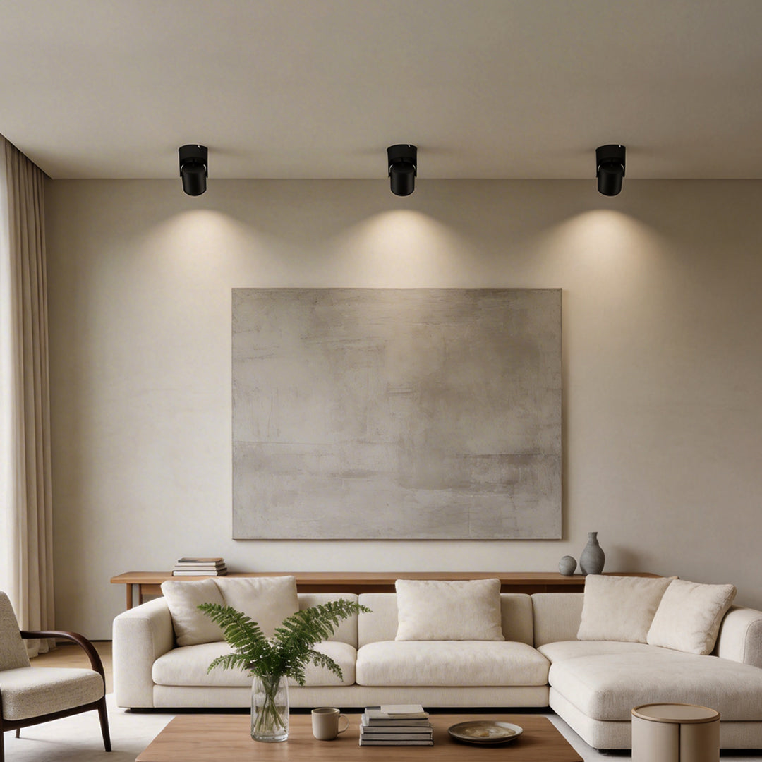 Modern Adjustable LED Downlight in Aluminum for Ceiling and Wall