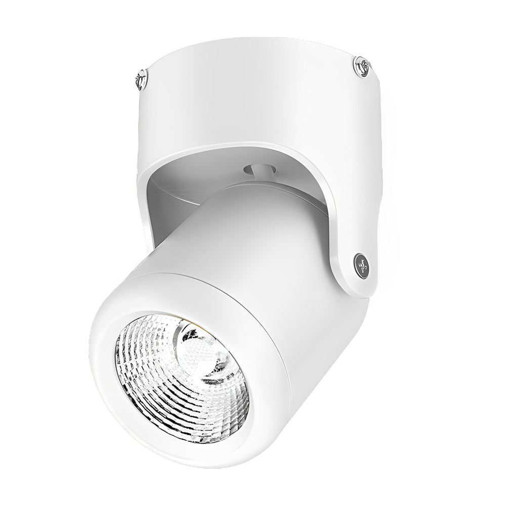 Modern Adjustable LED Downlight in Aluminum for Ceiling and Wall
