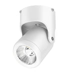Modern Adjustable LED Downlight in Aluminum for Ceiling and Wall