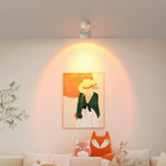 Architectural LED Ceiling Spotlights | Directional Accent Lighting