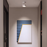 Architectural LED Ceiling Spotlights | Directional Accent Lighting