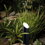 Landscape Tree Up Light – Stainless Steel Outdoor Garden Spotlight