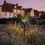Dandelion Landscape Garden Lights – Modern Outdoor LED Spike Set