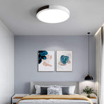Lighting Ceiling Lights Flush Mount Lighting_526Oz