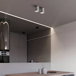 Modern Cylindrical LED Ceiling Light, Surface Mounted Downlight in Black