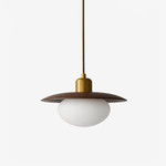 Solmere Wood Pendant Light with Frosted Glass Globe and Brass Canopy