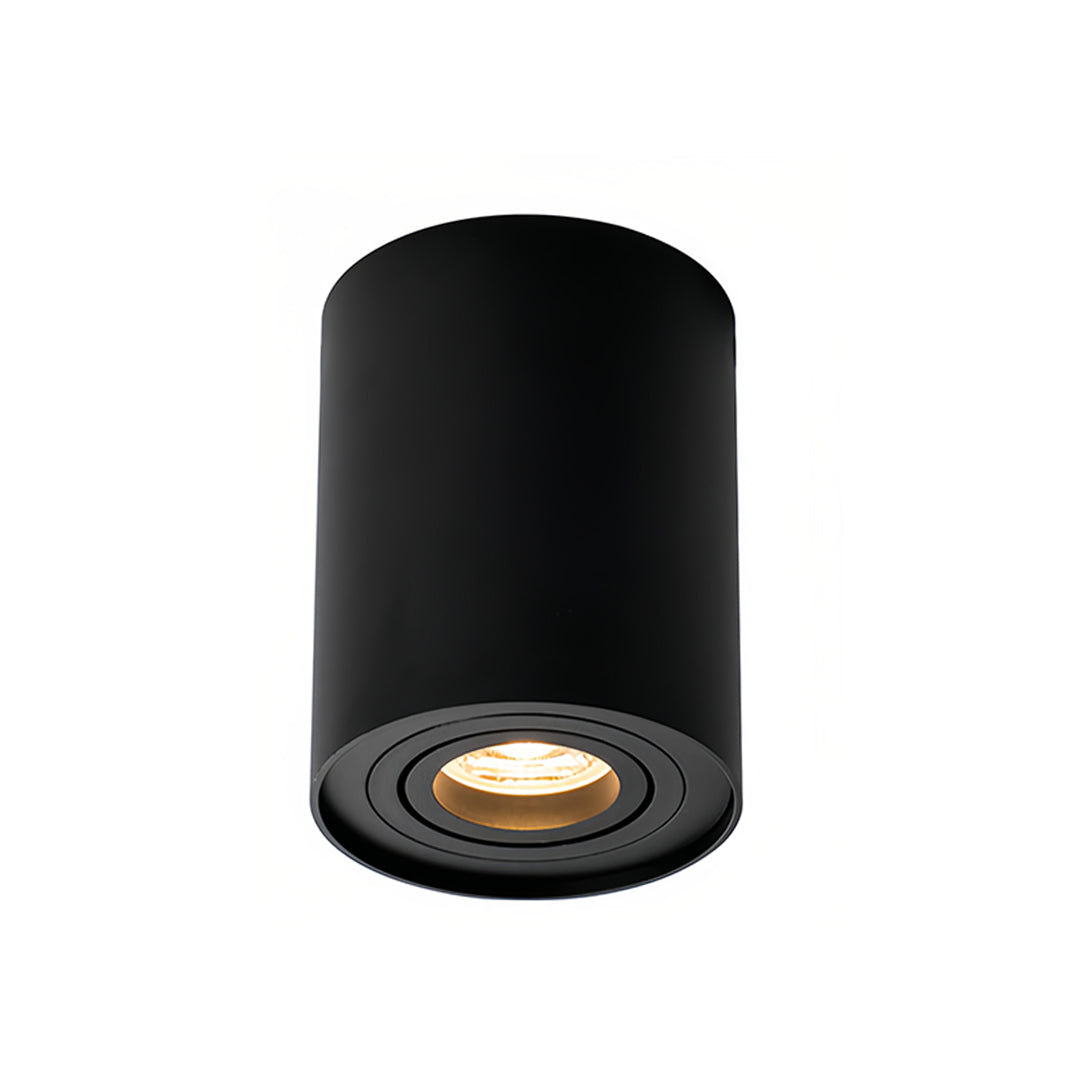 Modern Cylindrical LED Ceiling Light, Surface Mounted Downlight in Black