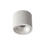 Ultra-Thin Adjustable Ceiling Spotlights, Set of 2, Modern LED Directional Lights