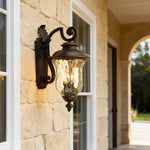 Chestnut Black Aluminum Outdoor Wall Sconce with Clear Glass Shade