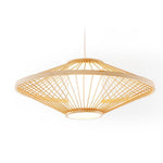 Rattan Pendant Light with Radiating Bamboo Frame – Black Finish