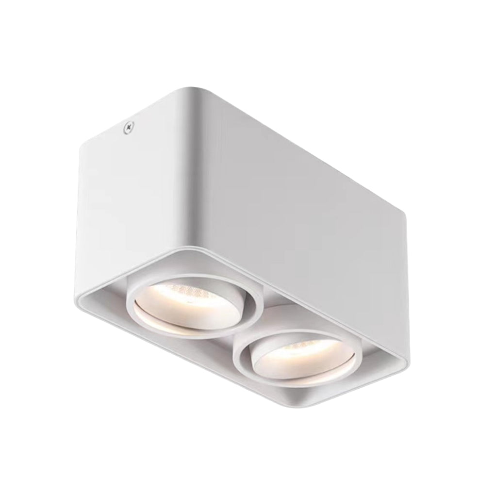 Modern Surface Mounted LED Spot Light with Adjustable Heads for Ceilings