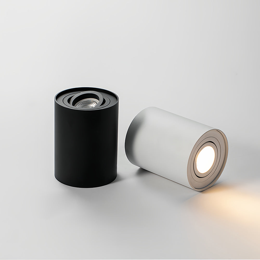 Modern Cylindrical LED Ceiling Light, Surface Mounted Downlight in Black