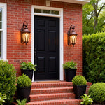Chestnut Aluminum Outdoor Wall Sconce with Clear Glass Shade