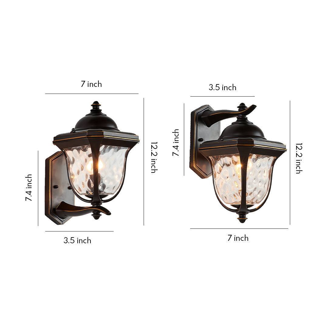 European Outdoor Wall Sconce with Clear Glass Shade in Coffee Finish
